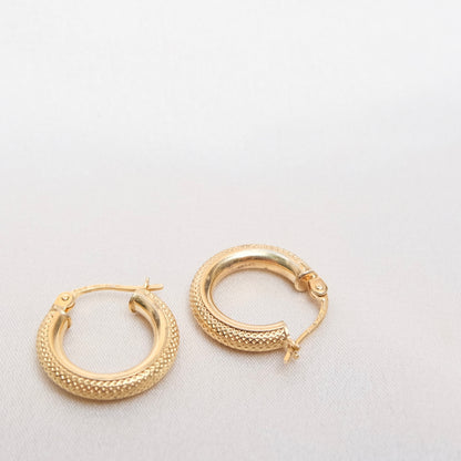 Franc 9k Textured Hoops